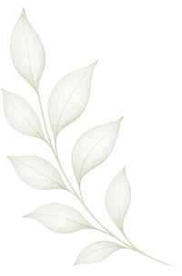 Branch Icon